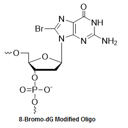 Bio-Synthesis Inc. Oligo Structure